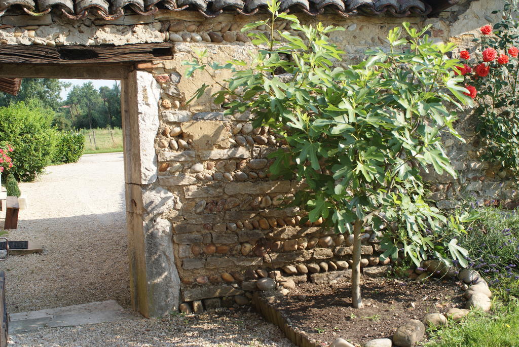 Bed and Breakfast Le Moulin De Champagne Viriat Екстер'єр фото